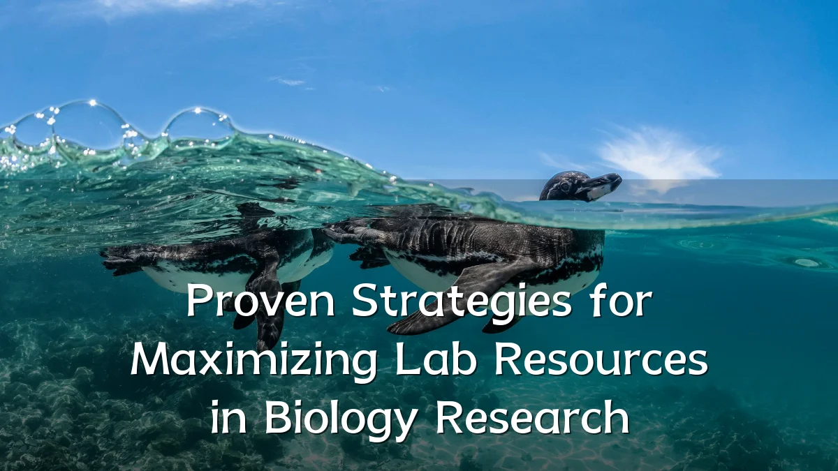 Proven Strategies for Maximizing Lab Resources in Biology Research