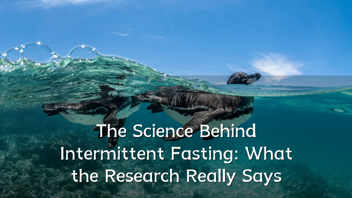 The Science Behind Intermittent Fasting: What the Research Really Says