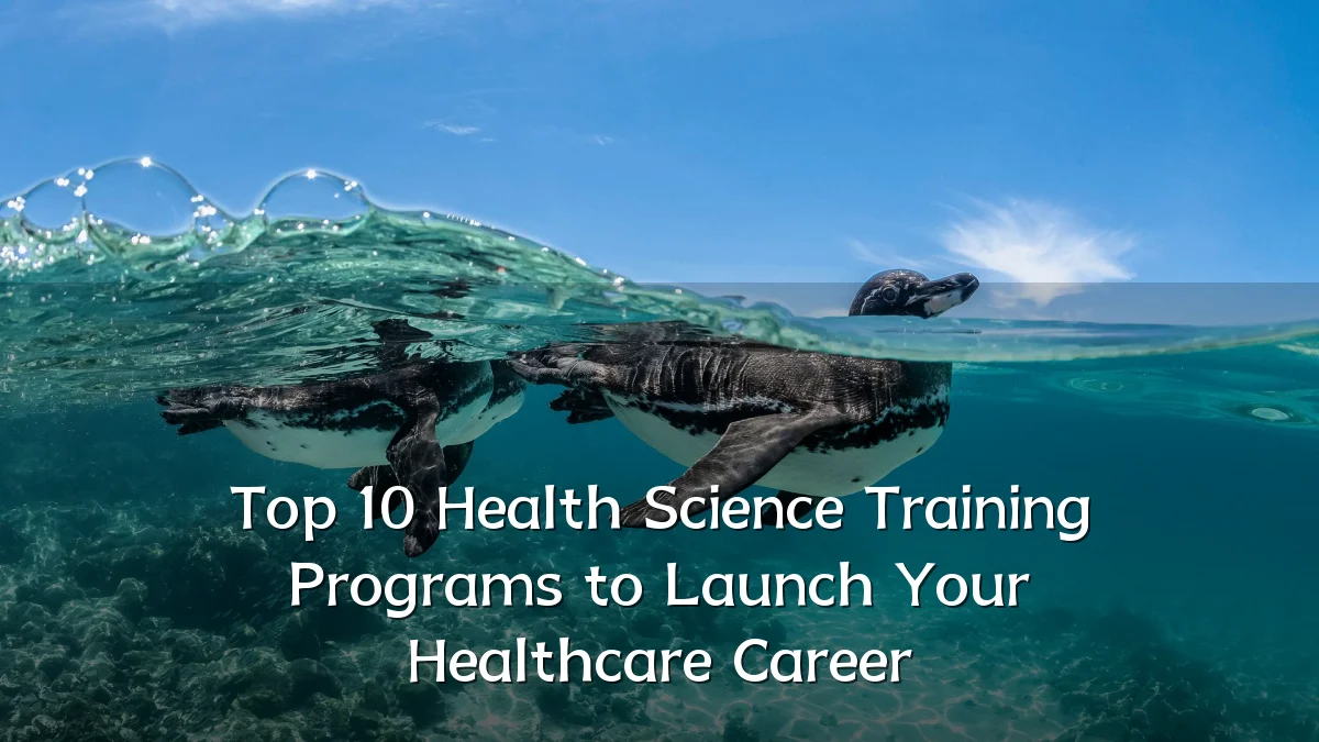 Top 10 Health Science Training Programs to Launch Your Healthcare Career