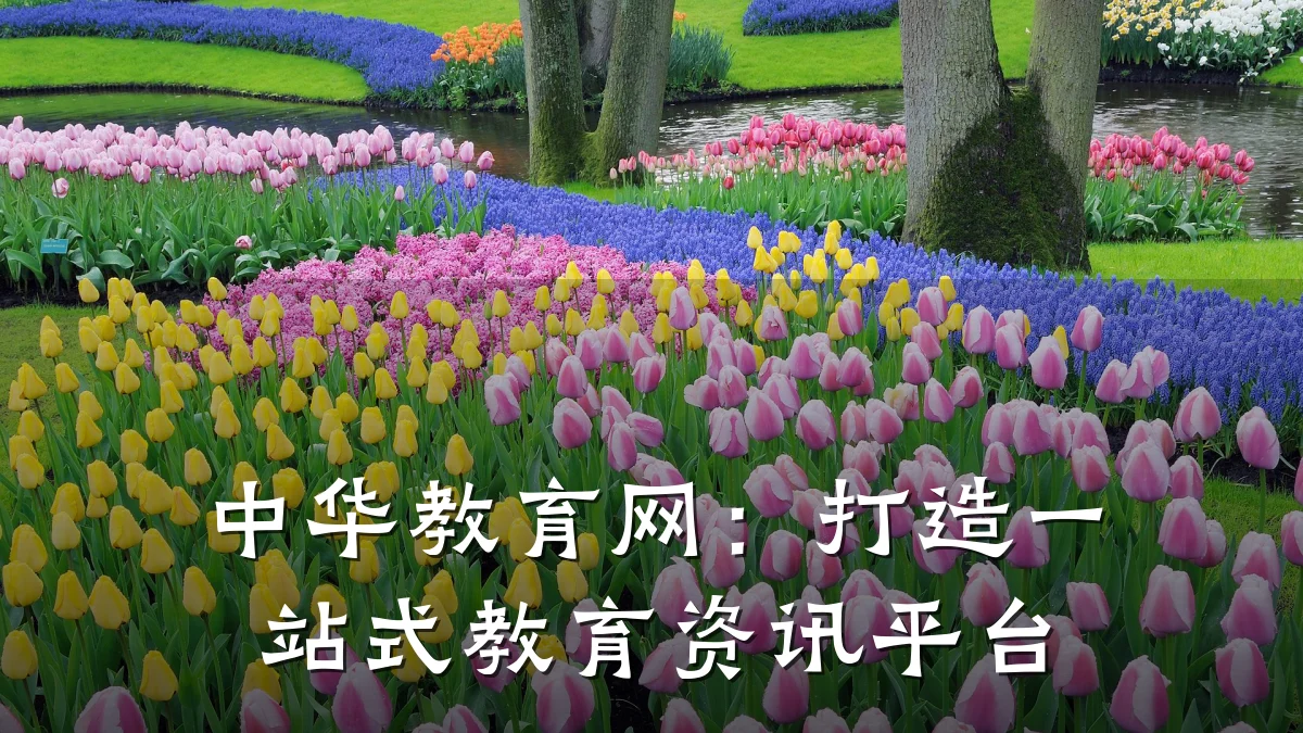 中华教育网:打造一站式教育资讯平台